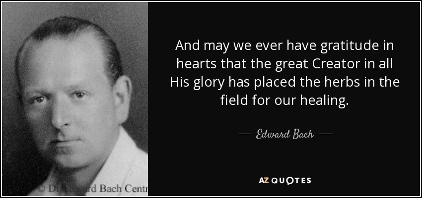 And may we ever have gratitude in hearts that the great Creator in all His glory has placed the herbs in the field for our healing. - Edward Bach