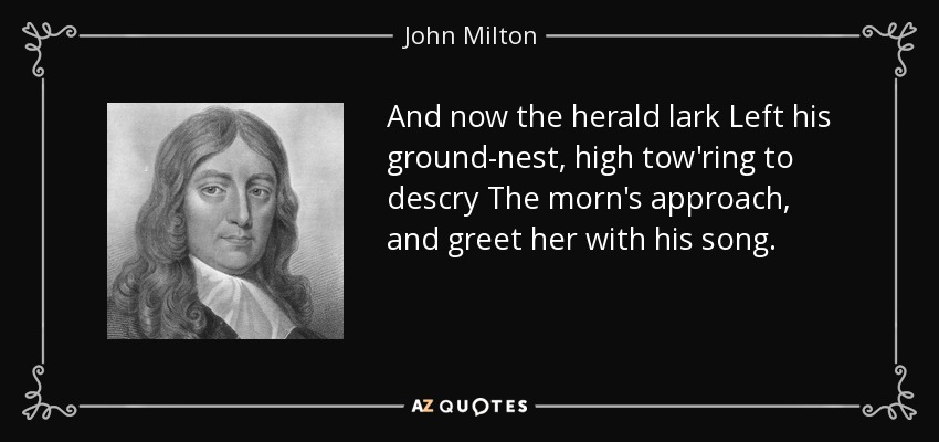 And now the herald lark Left his ground-nest, high tow'ring to descry The morn's approach, and greet her with his song. - John Milton
