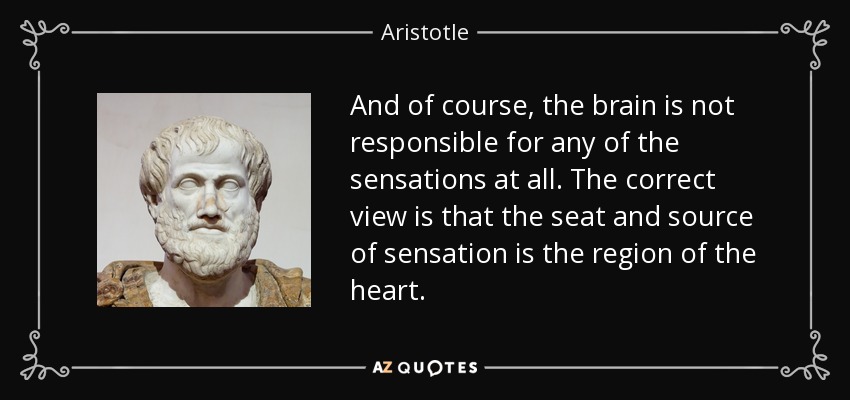 And of course, the brain is not responsible for any of the sensations at all. The correct view is that the seat and source of sensation is the region of the heart. - Aristotle