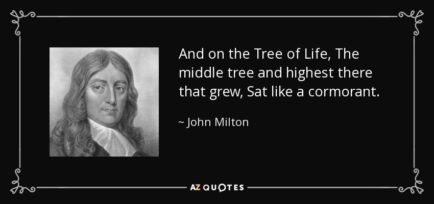 And on the Tree of Life, The middle tree and highest there that grew, Sat like a cormorant. - John Milton