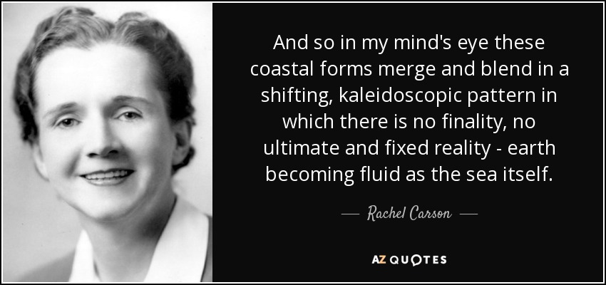 And so in my mind's eye these coastal forms merge and blend in a shifting, kaleidoscopic pattern in which there is no finality, no ultimate and fixed reality - earth becoming fluid as the sea itself. - Rachel Carson