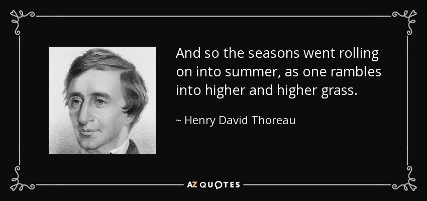 And so the seasons went rolling on into summer, as one rambles into higher and higher grass. - Henry David Thoreau
