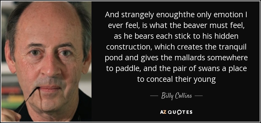 And strangely enoughthe only emotion I ever feel, is what the beaver must feel, as he bears each stick to his hidden construction, which creates the tranquil pond and gives the mallards somewhere to paddle, and the pair of swans a place to conceal their young - Billy Collins