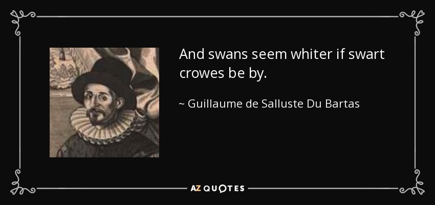 And swans seem whiter if swart crowes be by. - Guillaume de Salluste Du Bartas