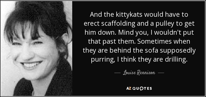 And the kittykats would have to erect scaffolding and a pulley to get him down. Mind you, I wouldn't put that past them. Sometimes when they are behind the sofa supposedly purring, I think they are drilling. - Louise Rennison
