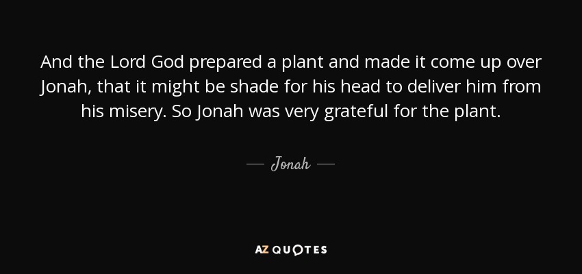 And the Lord God prepared a plant and made it come up over Jonah, that it might be shade for his head to deliver him from his misery. So Jonah was very grateful for the plant. - Jonah
