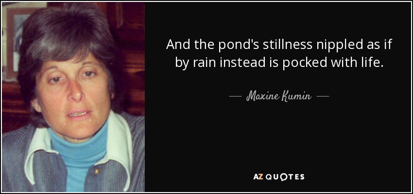 And the pond's stillness nippled as if by rain instead is pocked with life. - Maxine Kumin