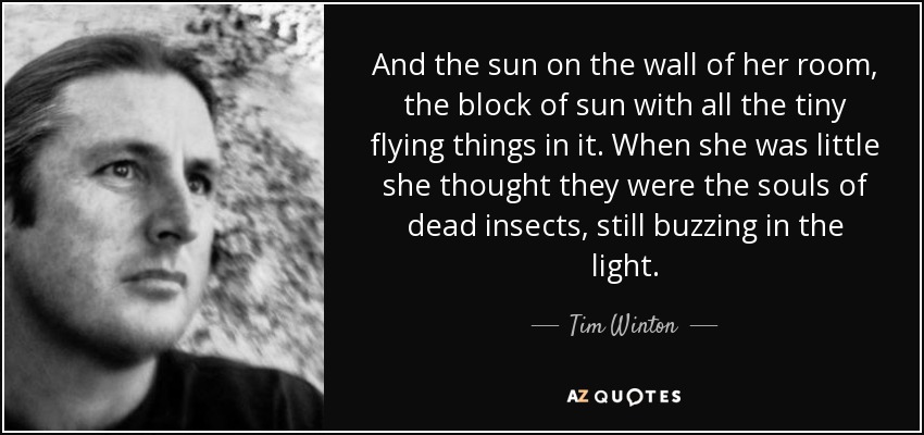 And the sun on the wall of her room, the block of sun with all the tiny flying things in it. When she was little she thought they were the souls of dead insects, still buzzing in the light. - Tim Winton