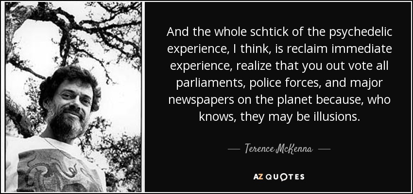 And the whole schtick of the psychedelic experience, I think, is reclaim immediate experience, realize that you out vote all parliaments, police forces, and major newspapers on the planet because, who knows, they may be illusions. - Terence McKenna
