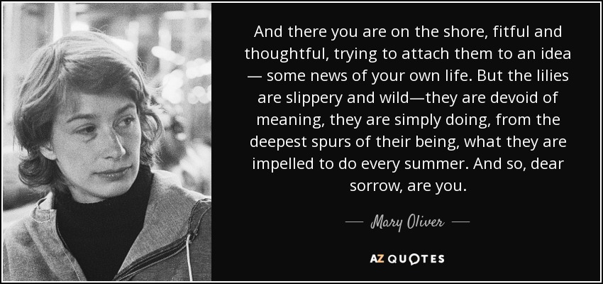 And there you are on the shore, fitful and thoughtful, trying to attach them to an idea — some news of your own life. But the lilies are slippery and wild—they are devoid of meaning, they are simply doing, from the deepest spurs of their being, what they are impelled to do every summer. And so, dear sorrow, are you. - Mary Oliver