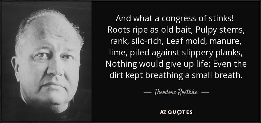 And what a congress of stinks!- Roots ripe as old bait, Pulpy stems, rank, silo-rich, Leaf mold, manure, lime, piled against slippery planks, Nothing would give up life: Even the dirt kept breathing a small breath. - Theodore Roethke