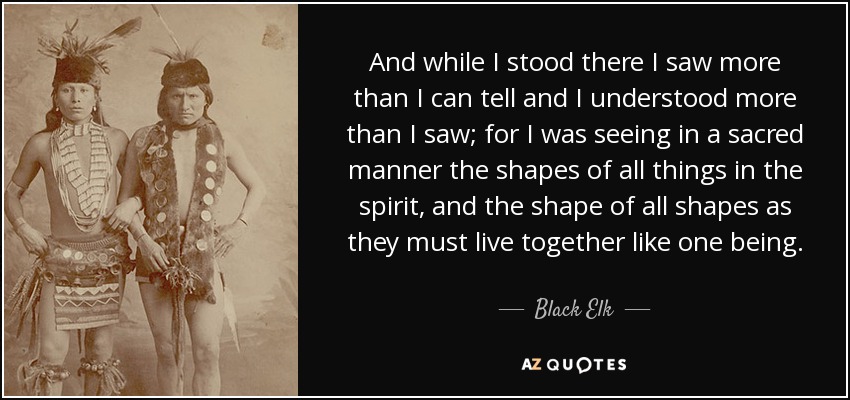 And while I stood there I saw more than I can tell and I understood more than I saw; for I was seeing in a sacred manner the shapes of all things in the spirit, and the shape of all shapes as they must live together like one being. - Black Elk