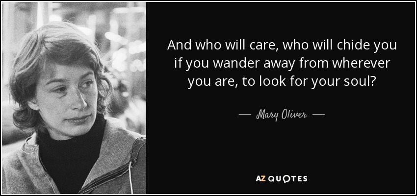 And who will care, who will chide you if you wander away from wherever you are, to look for your soul? - Mary Oliver