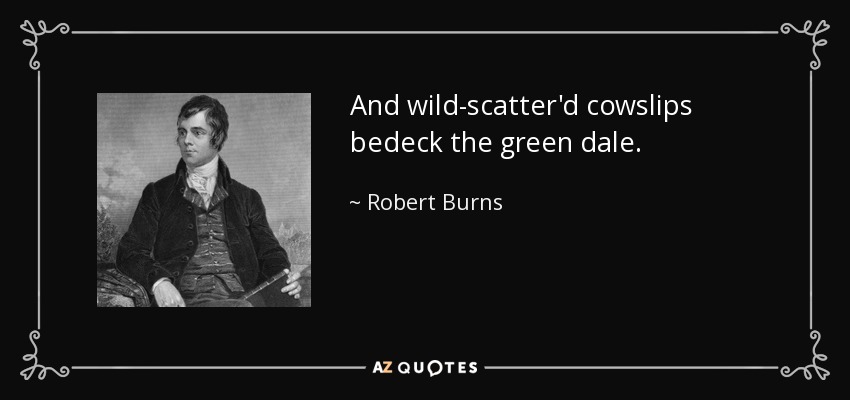 And wild-scatter'd cowslips bedeck the green dale. - Robert Burns
