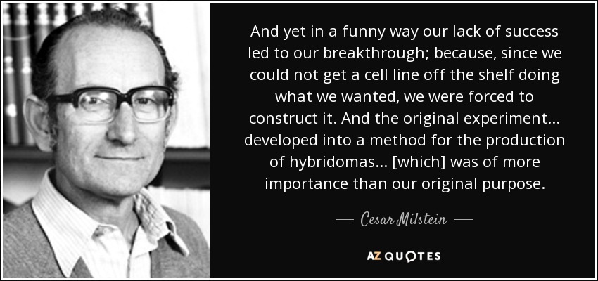 And yet in a funny way our lack of success led to our breakthrough; because, since we could not get a cell line off the shelf doing what we wanted, we were forced to construct it. And the original experiment ... developed into a method for the production of hybridomas ... [which] was of more importance than our original purpose. - Cesar Milstein