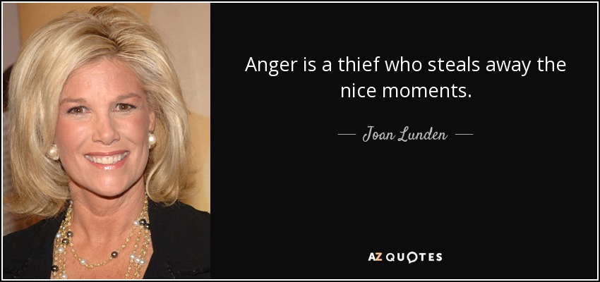 Anger is a thief who steals away the nice moments. - Joan Lunden