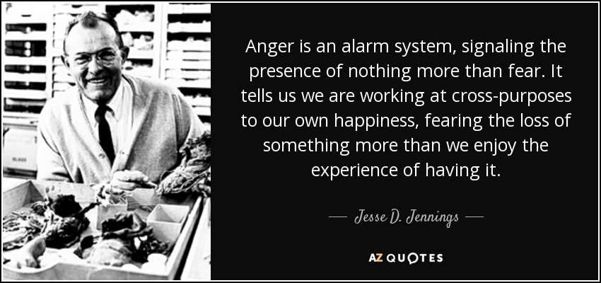 Anger is an alarm system, signaling the presence of nothing more than fear. It tells us we are working at cross-purposes to our own happiness, fearing the loss of something more than we enjoy the experience of having it. - Jesse D. Jennings