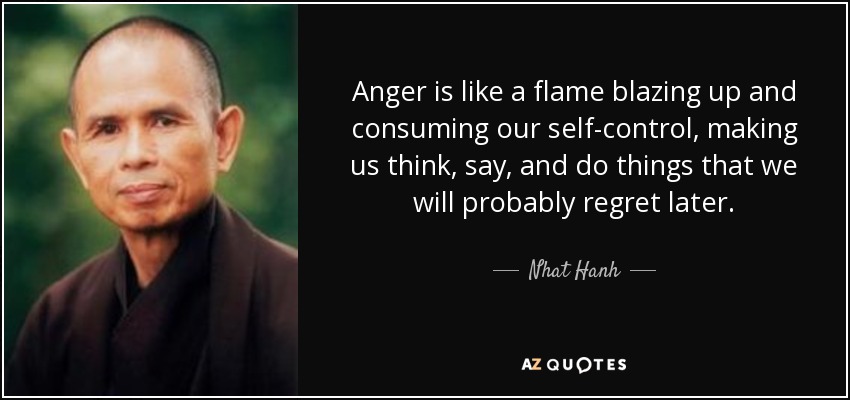 Anger is like a flame blazing up and consuming our self-control, making us think, say, and do things that we will probably regret later. - Nhat Hanh