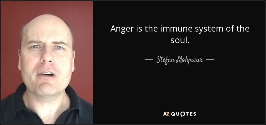 Anger is the immune system of the soul. - Stefan Molyneux