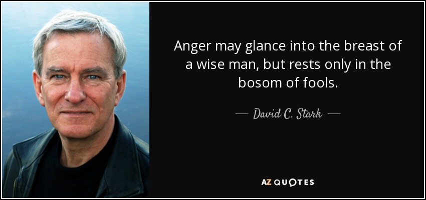 Anger may glance into the breast of a wise man, but rests only in the bosom of fools. - David C. Stark