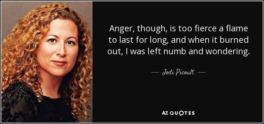 Anger, though, is too fierce a flame to last for long, and when it burned out, I was left numb and wondering. - Jodi Picoult
