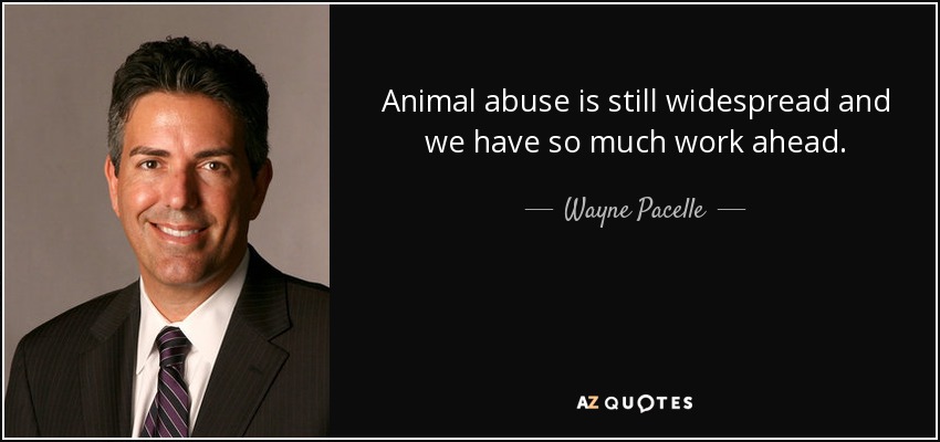 Animal abuse is still widespread and we have so much work ahead. - Wayne Pacelle