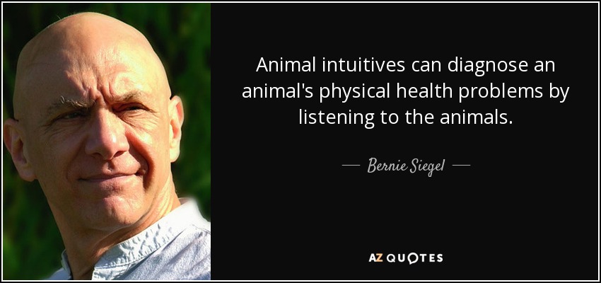 Animal intuitives can diagnose an animal's physical health problems by listening to the animals. - Bernie Siegel