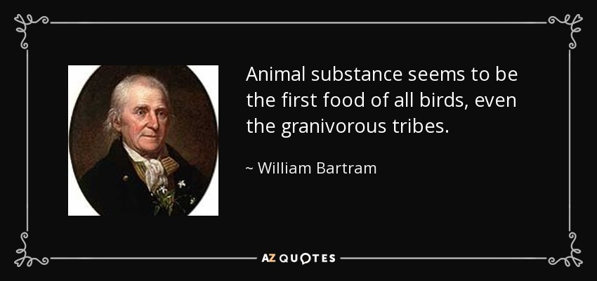 Animal substance seems to be the first food of all birds, even the granivorous tribes. - William Bartram