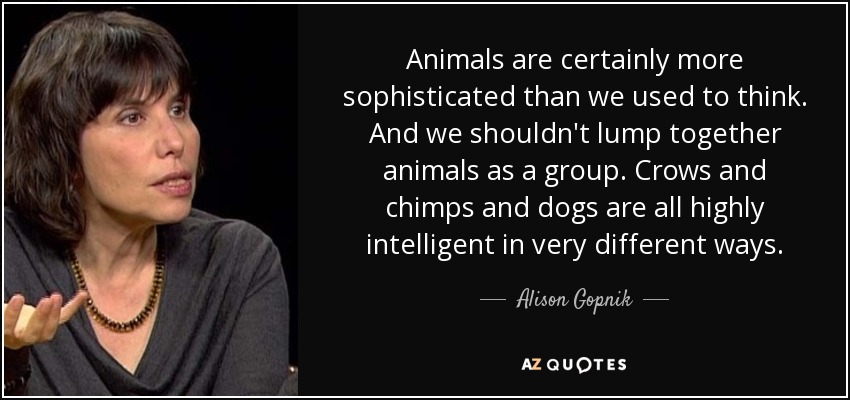 Animals are certainly more sophisticated than we used to think. And we shouldn't lump together animals as a group. Crows and chimps and dogs are all highly intelligent in very different ways. - Alison Gopnik