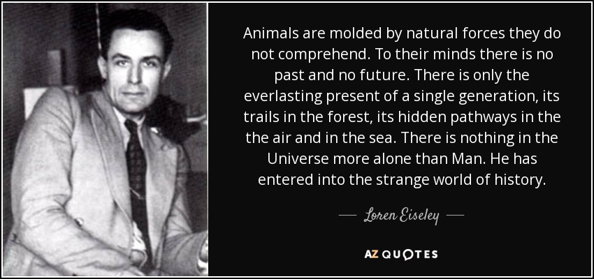 Animals are molded by natural forces they do not comprehend. To their minds there is no past and no future. There is only the everlasting present of a single generation, its trails in the forest, its hidden pathways in the the air and in the sea. There is nothing in the Universe more alone than Man. He has entered into the strange world of history. - Loren Eiseley