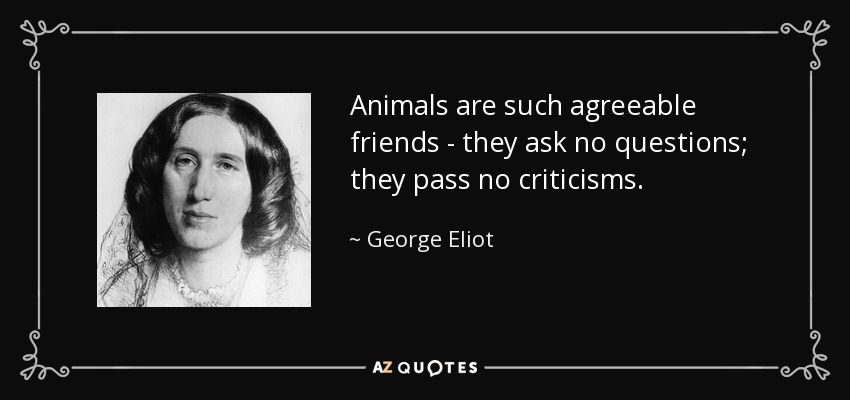 Animals are such agreeable friends - they ask no questions; they pass no criticisms. - George Eliot
