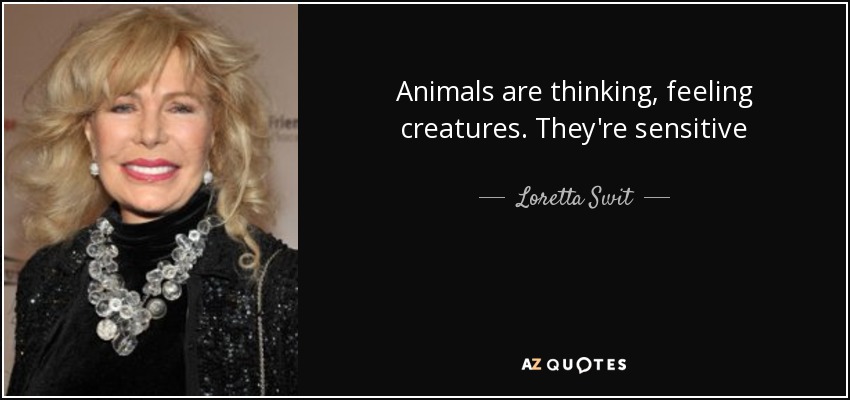 Animals are thinking, feeling creatures. They're sensitive - Loretta Swit