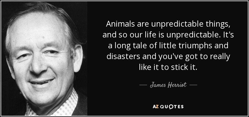 Animals are unpredictable things, and so our life is unpredictable. It's a long tale of little triumphs and disasters and you've got to really like it to stick it. - James Herriot