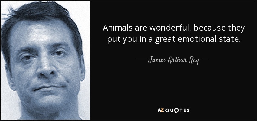 Animals are wonderful, because they put you in a great emotional state. - James Arthur Ray