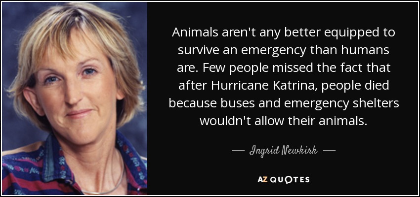 Animals aren't any better equipped to survive an emergency than humans are. Few people missed the fact that after Hurricane Katrina, people died because buses and emergency shelters wouldn't allow their animals. - Ingrid Newkirk