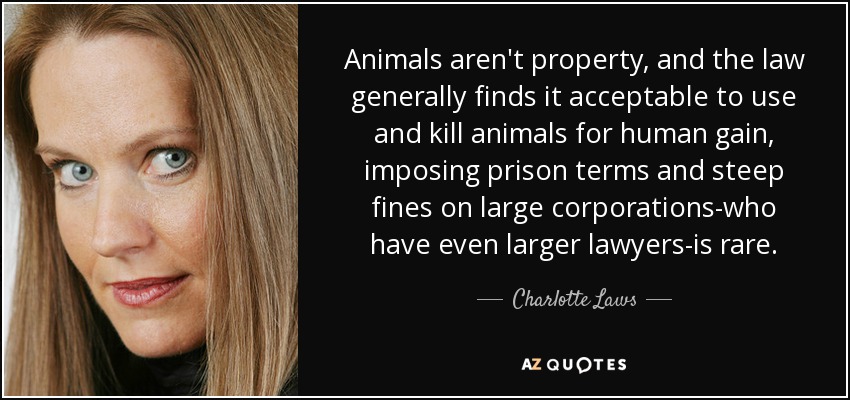 Animals aren't property, and the law generally finds it acceptable to use and kill animals for human gain, imposing prison terms and steep fines on large corporations-who have even larger lawyers-is rare. - Charlotte Laws