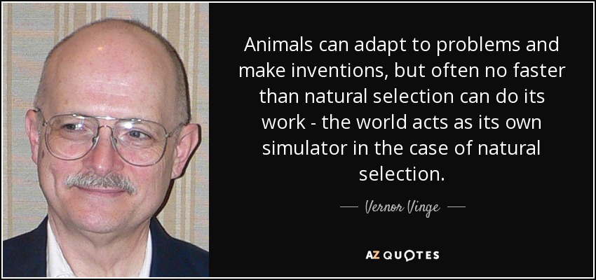 Animals can adapt to problems and make inventions, but often no faster than natural selection can do its work - the world acts as its own simulator in the case of natural selection. - Vernor Vinge