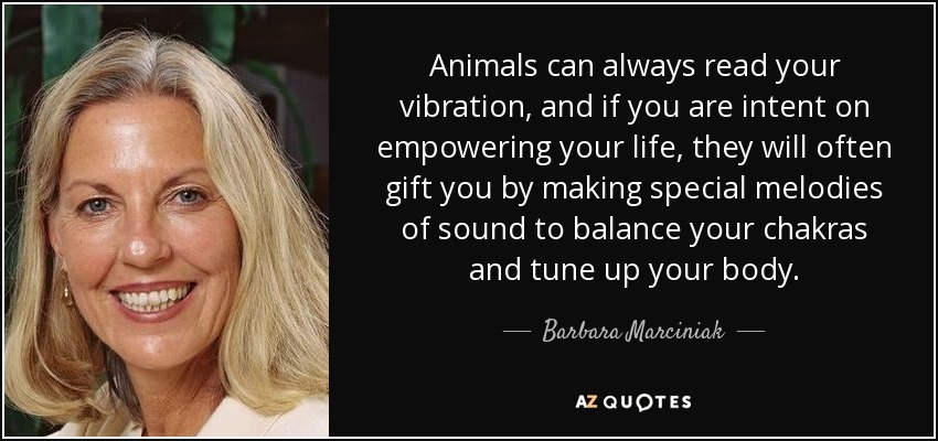 Animals can always read your vibration, and if you are intent on empowering your life, they will often gift you by making special melodies of sound to balance your chakras and tune up your body. - Barbara Marciniak