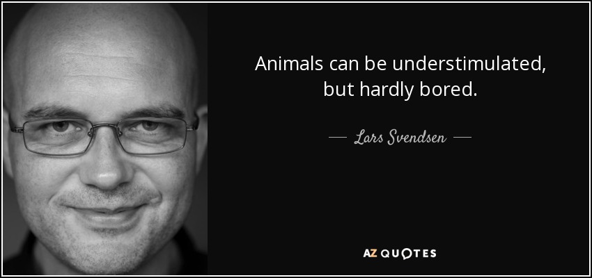 Animals can be understimulated, but hardly bored. - Lars Svendsen