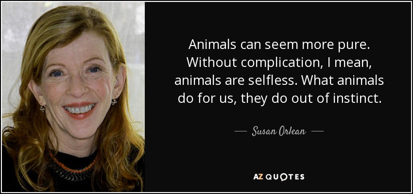 Animals can seem more pure. Without complication, I mean, animals are selfless. What animals do for us, they do out of instinct. - Susan Orlean
