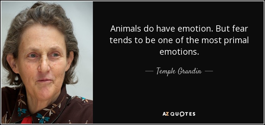 Animals do have emotion. But fear tends to be one of the most primal emotions. - Temple Grandin