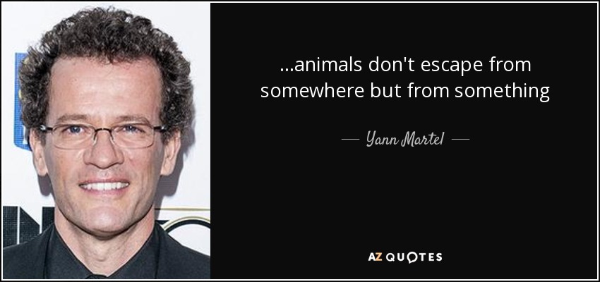 ...animals don't escape from somewhere but from something - Yann Martel