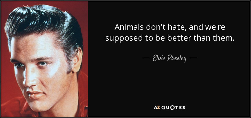 Animals don't hate, and we're supposed to be better than them. - Elvis Presley