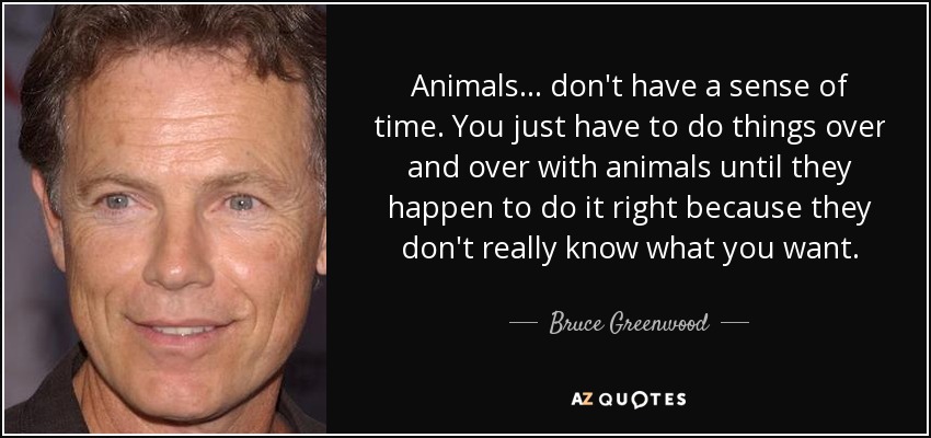 Animals... don't have a sense of time. You just have to do things over and over with animals until they happen to do it right because they don't really know what you want. - Bruce Greenwood