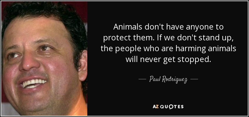 Animals don't have anyone to protect them. If we don't stand up, the people who are harming animals will never get stopped. - Paul Rodriguez