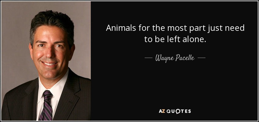 Animals for the most part just need to be left alone. - Wayne Pacelle