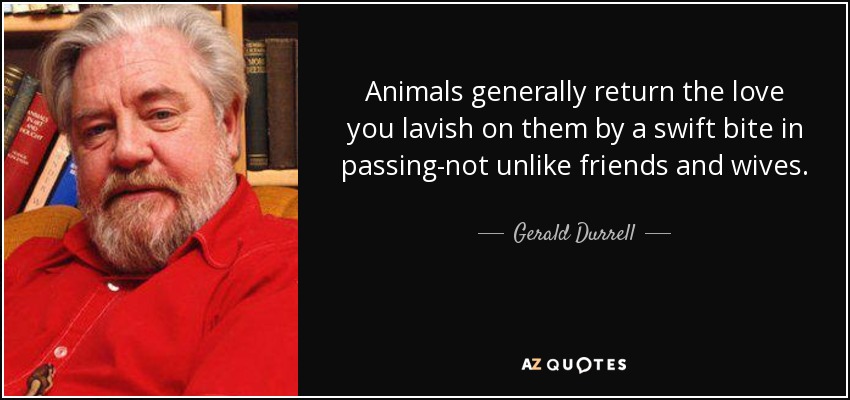 Animals generally return the love you lavish on them by a swift bite in passing-not unlike friends and wives. - Gerald Durrell
