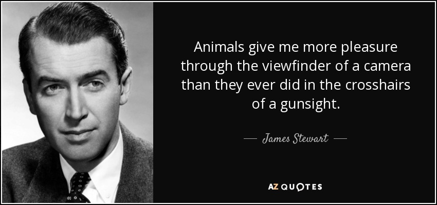 Animals give me more pleasure through the viewfinder of a camera than they ever did in the crosshairs of a gunsight. - James Stewart