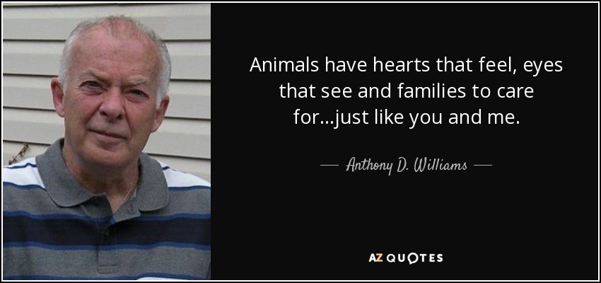 Animals have hearts that feel, eyes that see and families to care for...just like you and me. - Anthony D. Williams