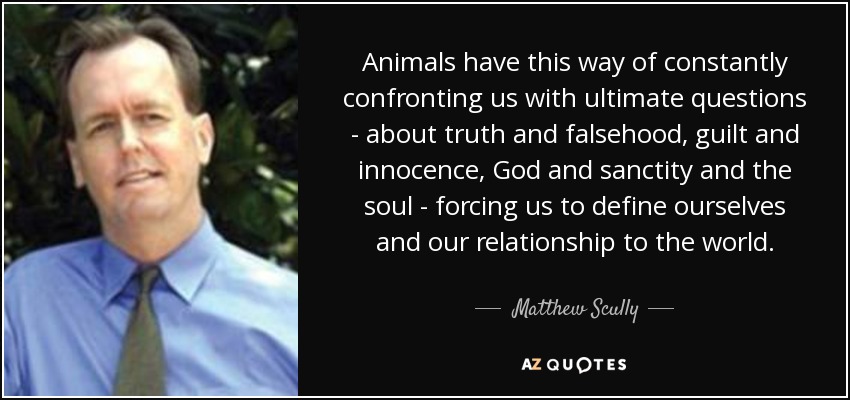 Animals have this way of constantly confronting us with ultimate questions - about truth and falsehood, guilt and innocence, God and sanctity and the soul - forcing us to define ourselves and our relationship to the world. - Matthew Scully